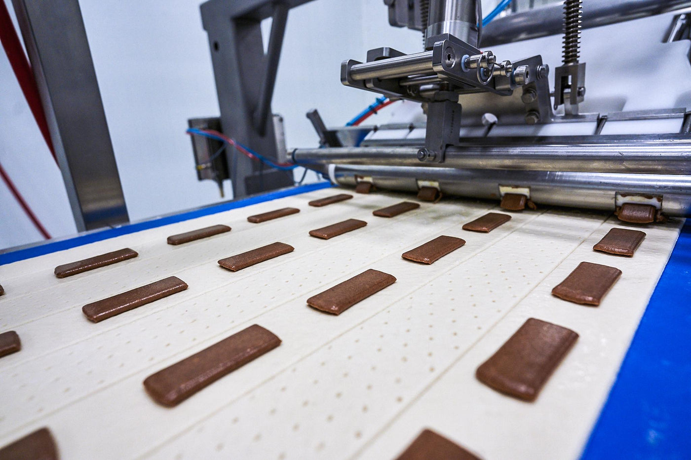 Protien Bar Manufacturing And Packaging Companies industry insight