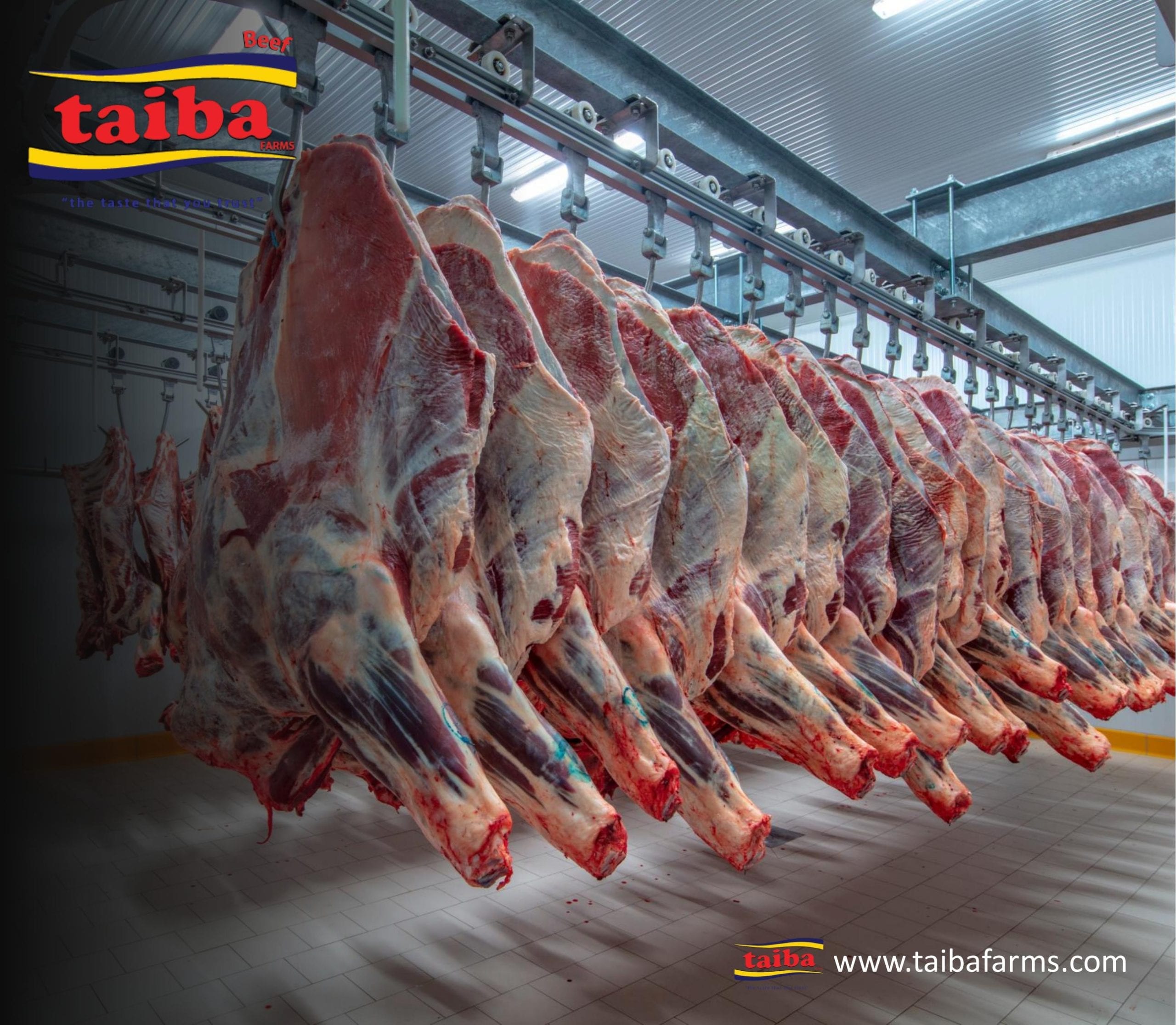 Purchase Halal Meat Wholesale & Bulk Online