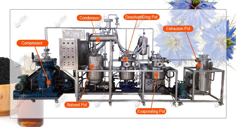 Pure Black Cumin Oil industry insight