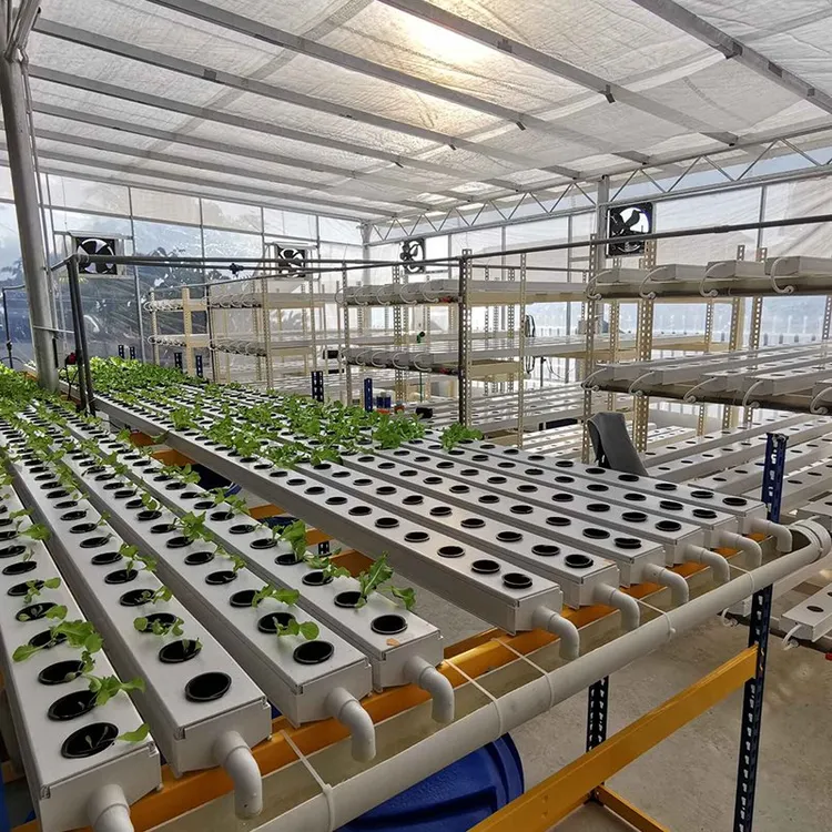 Pvc Hydroponics industry insight