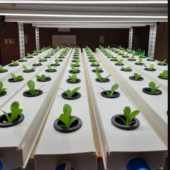 Pvc Hydroponics industry insight