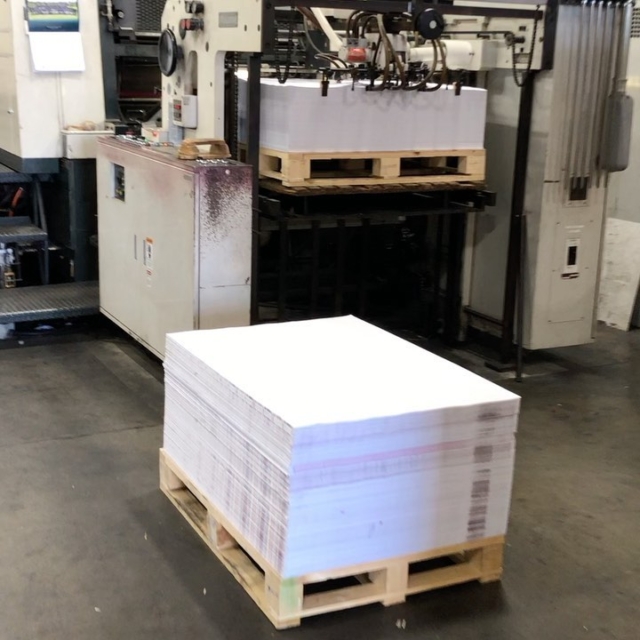 Rally Towels Bulk industry insight