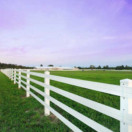 RAMM Fence & Stalls