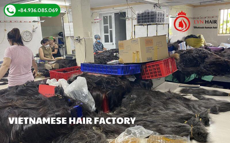 Raw Hair Vendors In India industry insight