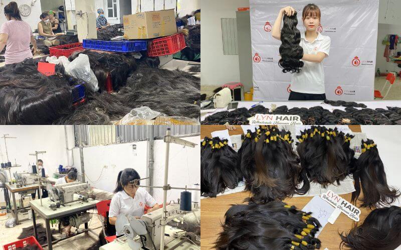 Raw Hair Vendors Wholesale industry insight