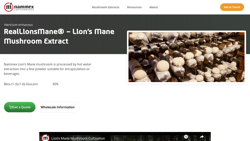 RealLionsMane® – Lion's Mane Mushroom Extract