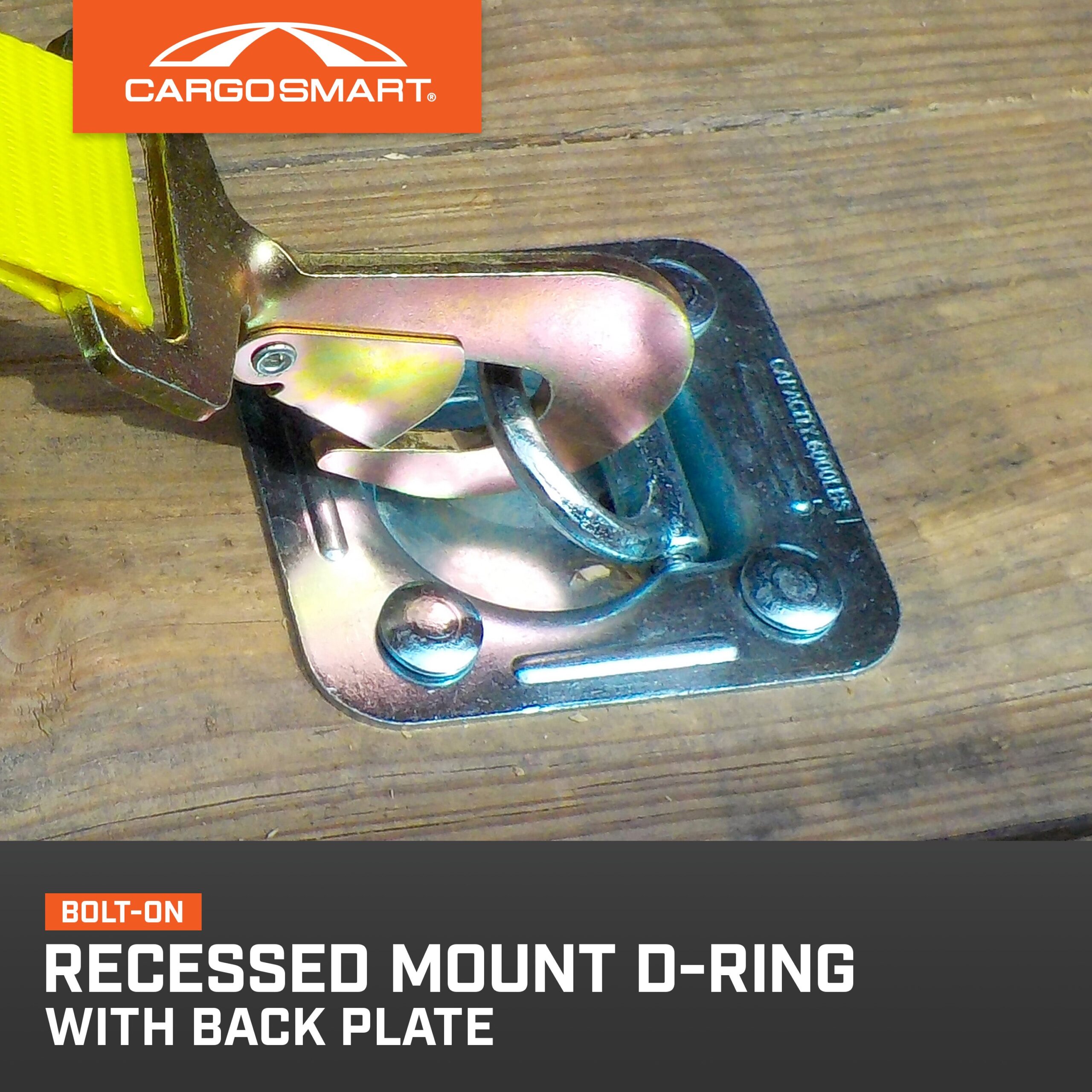 Recessed Mount D