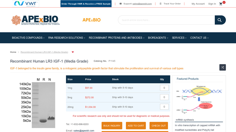 Recombinant Human LR3 IGF