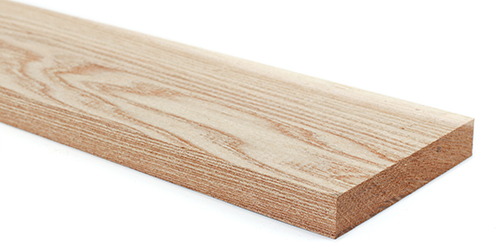 Red Elm // Ulmus rubra