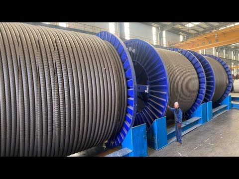 Reel Cable industry insight