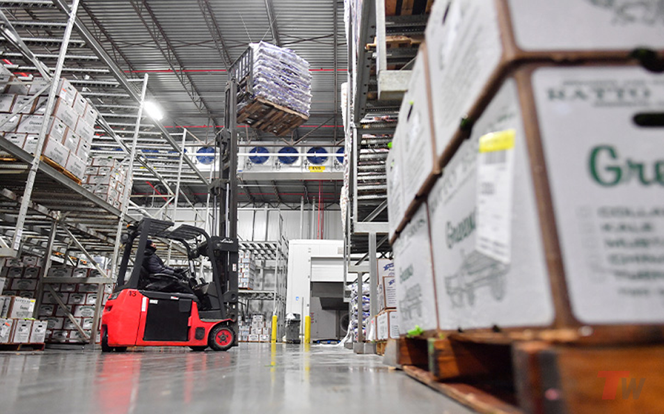 Rent Forklift Las Vegas industry insight