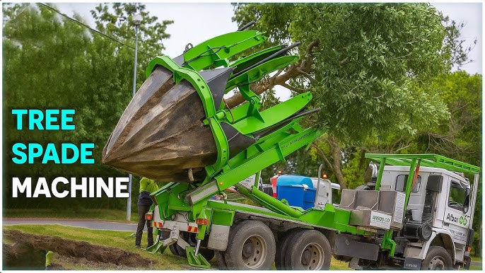 Replanting Trees Machine industry insight