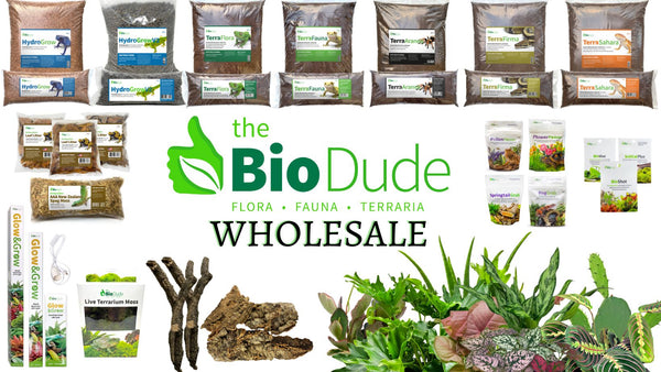 Reptile Accessories Wholesale industry insight