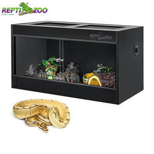 Reptile Supplies, Products & Accessories