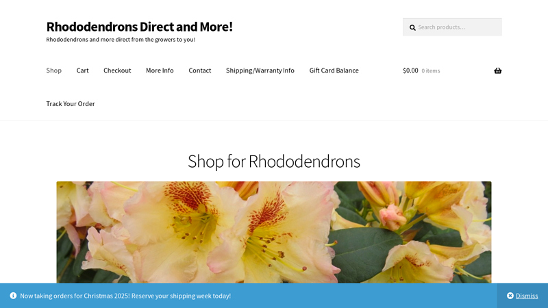 Rhododendrons Direct and More!