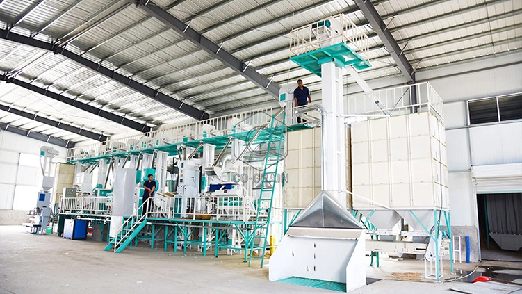 Rice industry insight