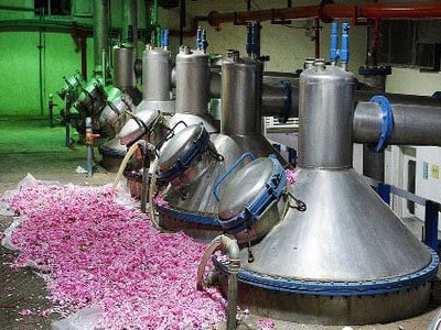 Rose Water Bulk industry insight