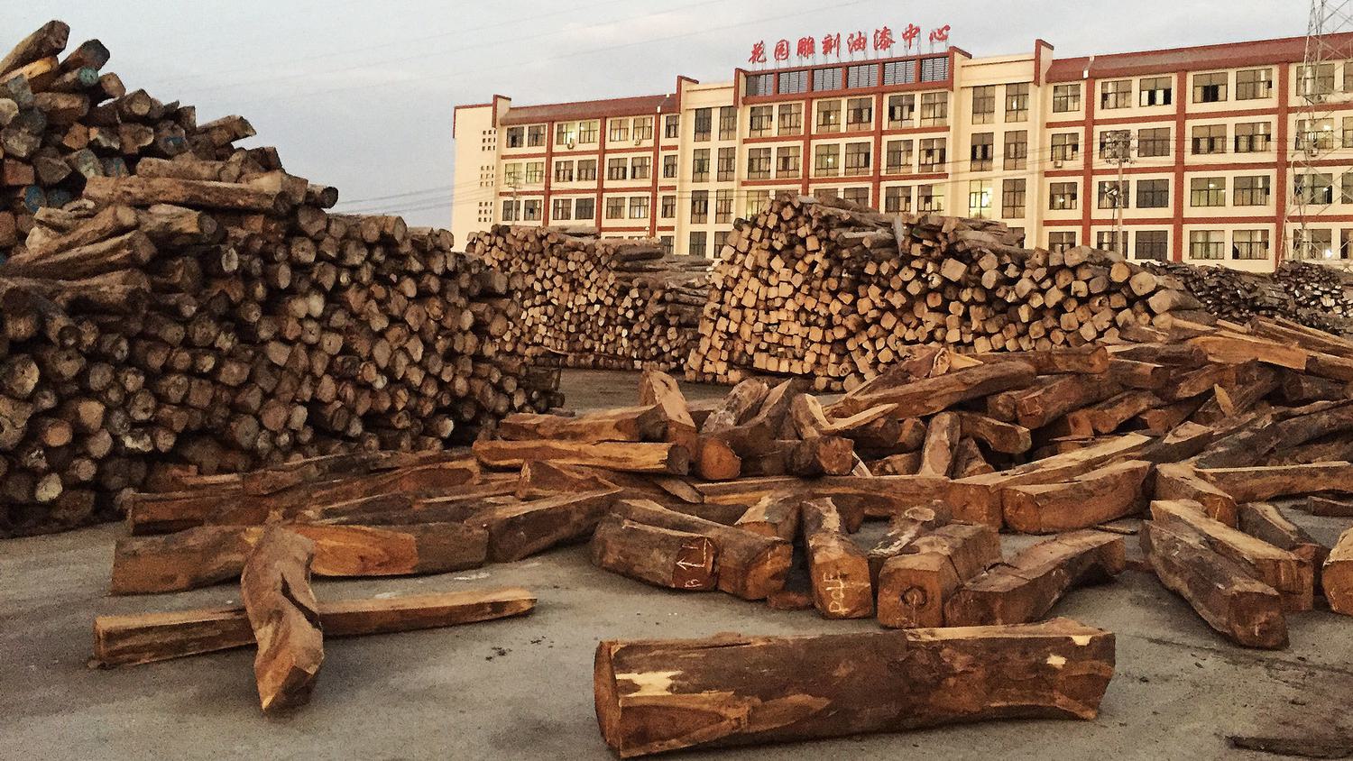 Rosewood Wholesale industry insight