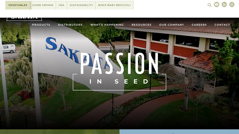 Sakata Wholesale Vegetable Seed