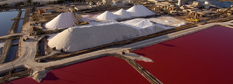 Salt industry insight