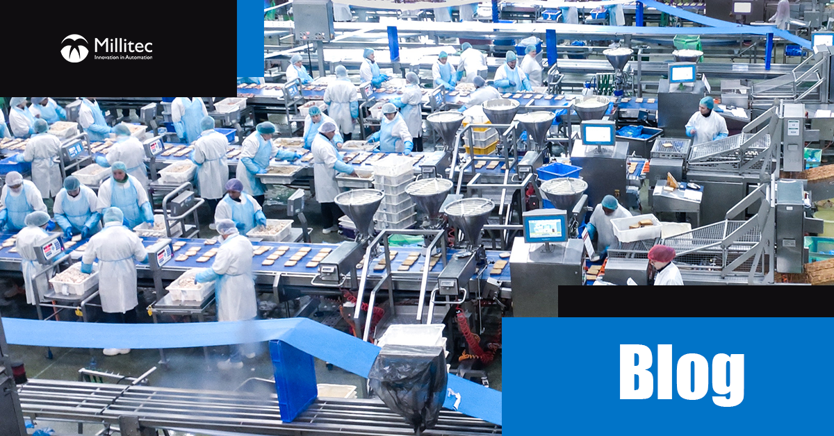 Sandwich Packaging industry insight