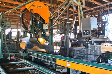 Sawmill Equipment industry insight