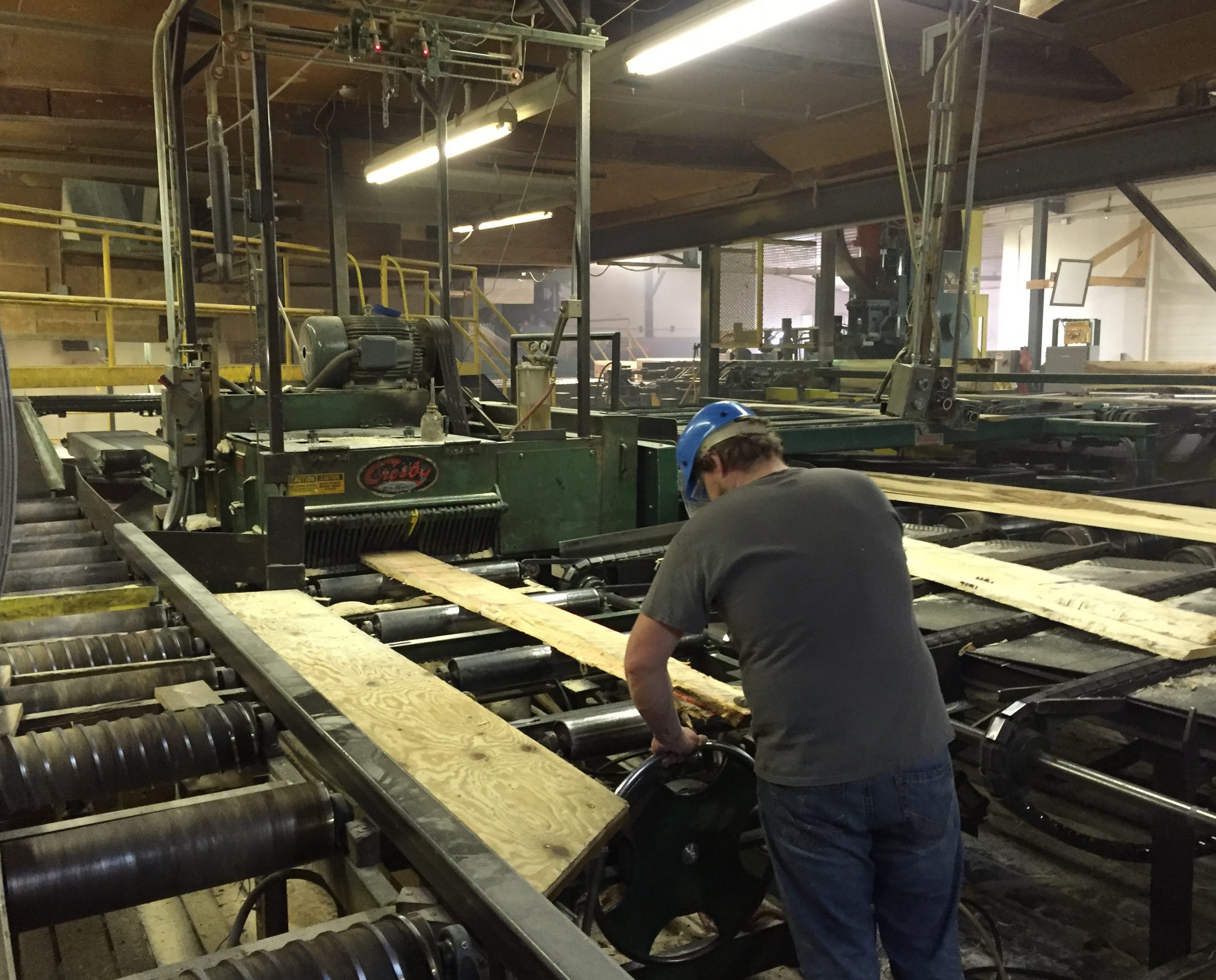 Sawmills In Michigan industry insight