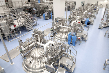 Scale Companies industry insight