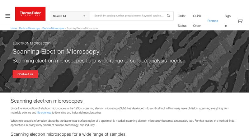 Scanning Electron Microscopes