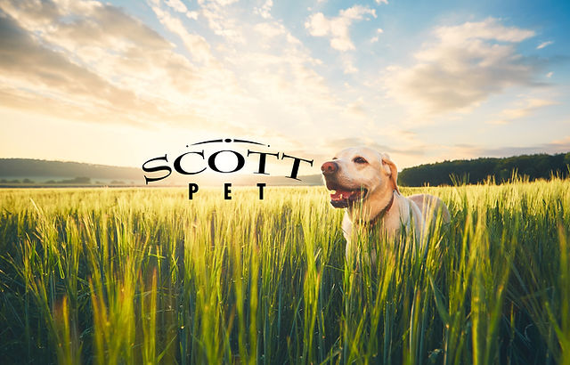 Scott Pet