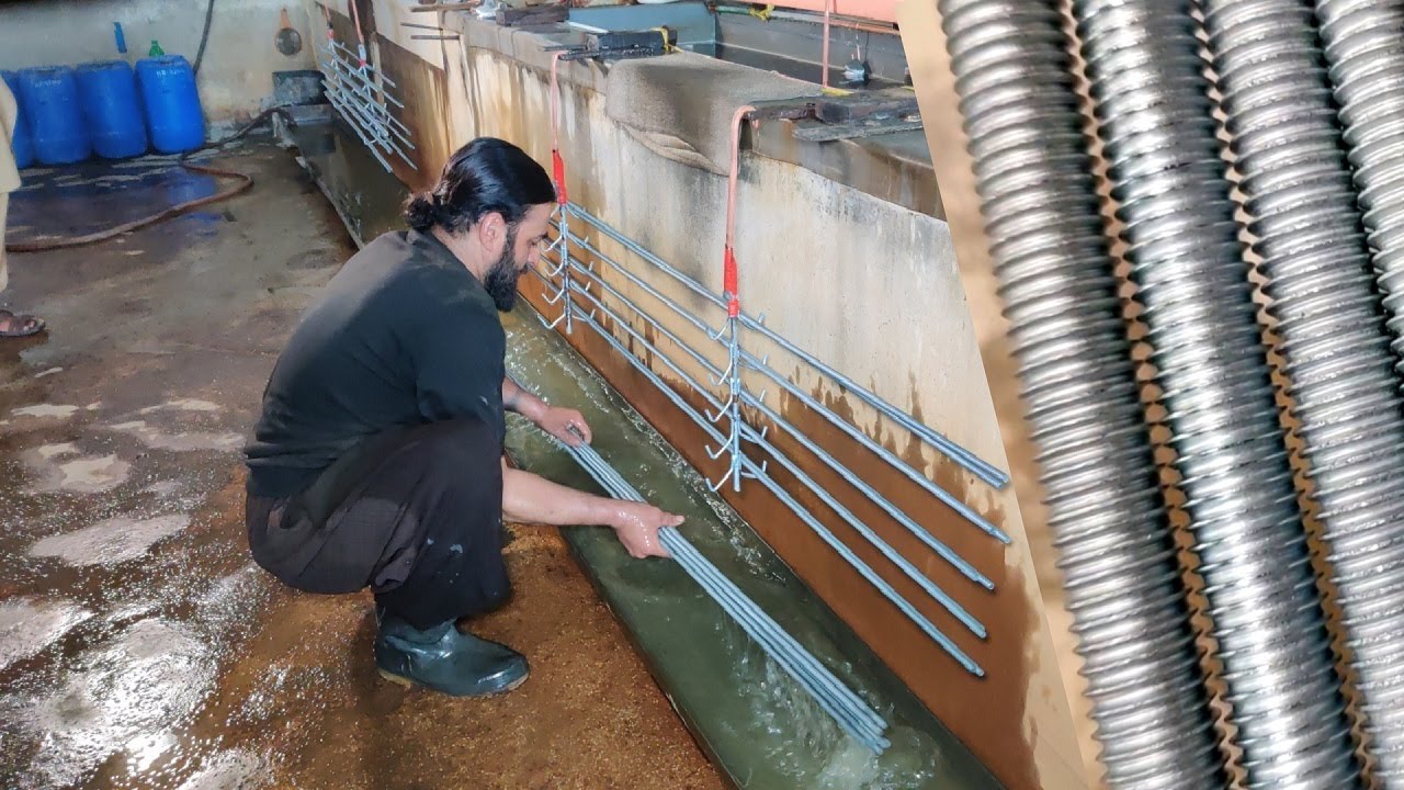 Screw Rod industry insight