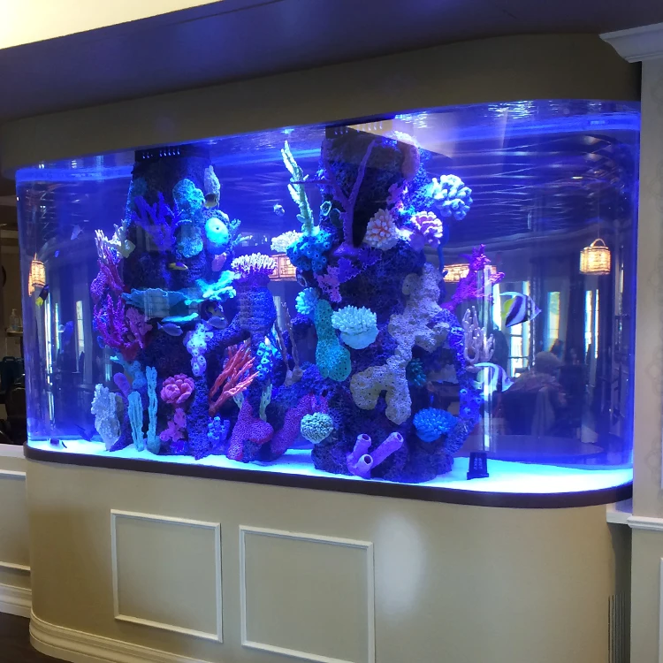 Sea Clear Reefs and Aquariums