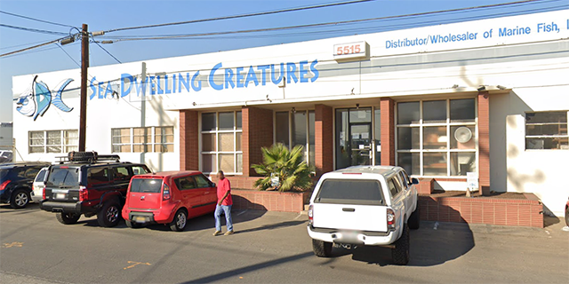 Sea Dwelling Creatures