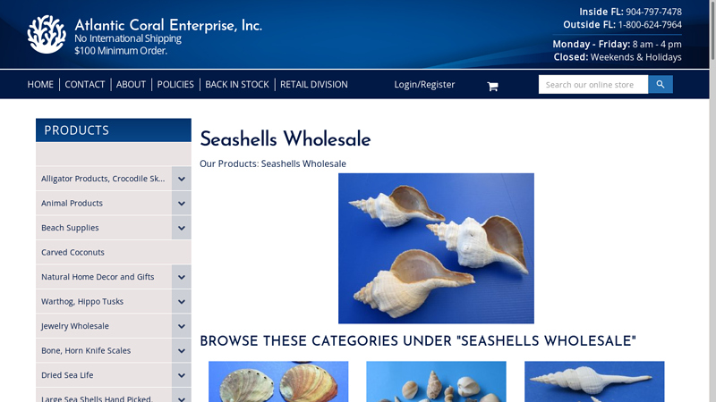 Seashells Wholesale