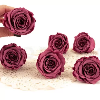 SecondFlor: Wholesale Florist