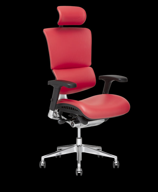 Shop X-Chair Office Chairs and Accessories