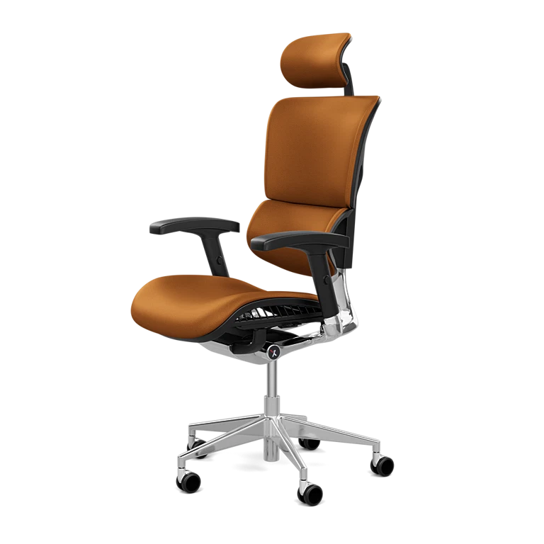Shop X-Chair Office Chairs and Accessories