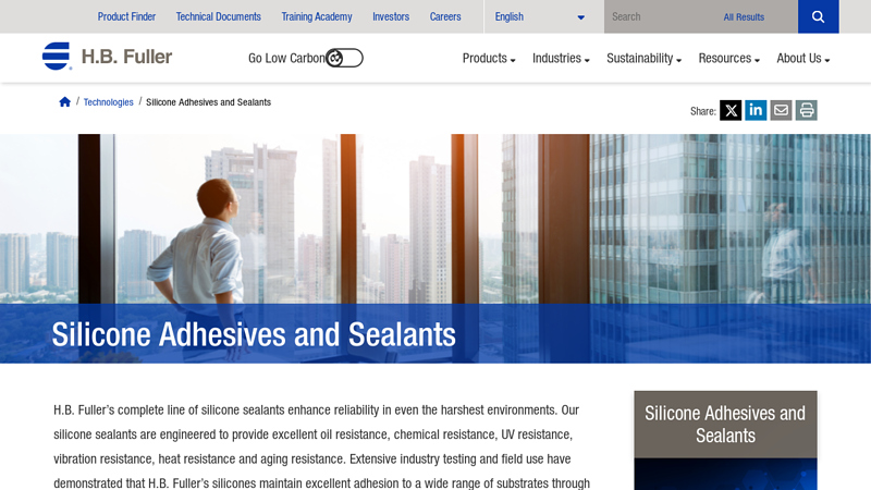 Silicone Adhesives and Sealants