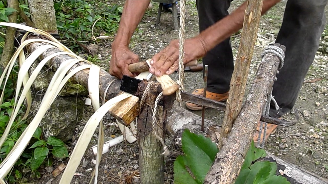 Sinamay Fabric industry insight