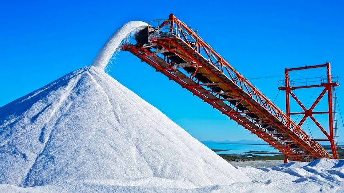 Sindhav Salt industry insight
