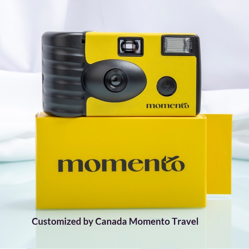 Single Use Camera Bulk industry insight