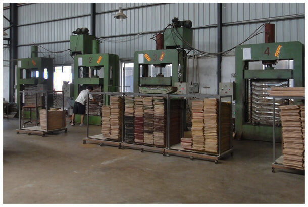 Skateboard Wholesale industry insight