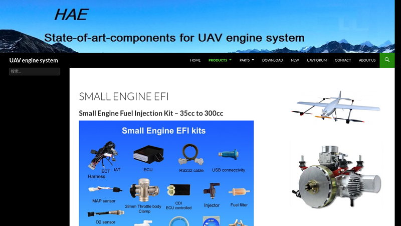 Small Engine EFI