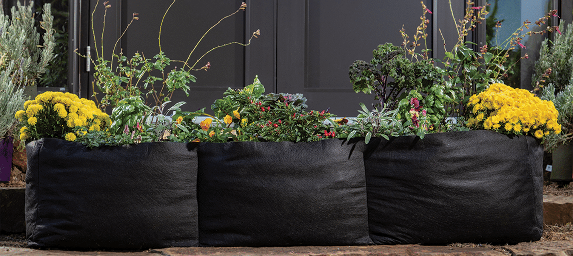 Smart Pots — USA-Made Fabric Grow Bags & Raised Beds