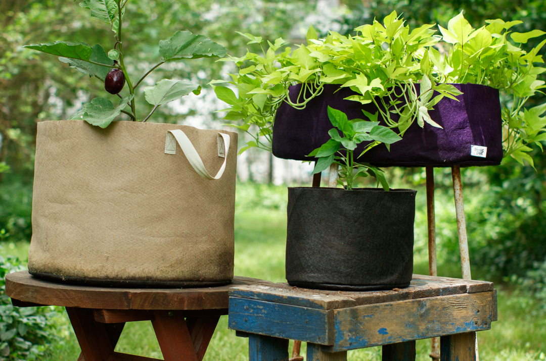Smart Pots — USA-Made Fabric Grow Bags & Raised Beds
