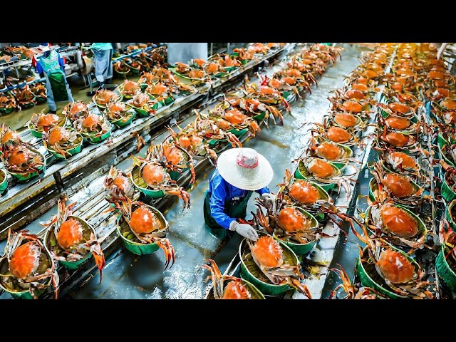Snow Crab Wholesale industry insight