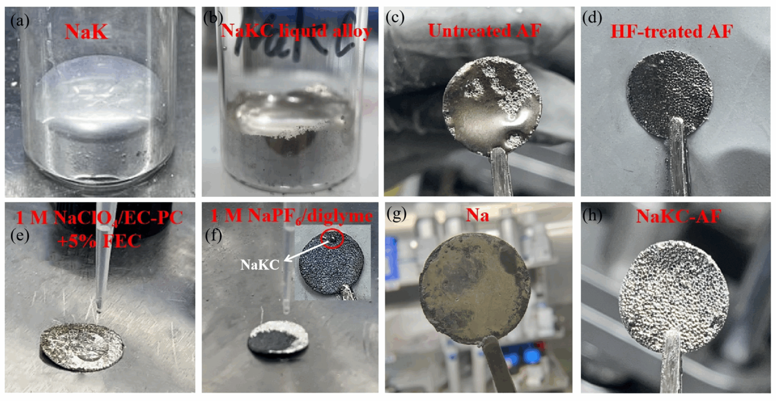 Sodium Potassium Alloy industry insight