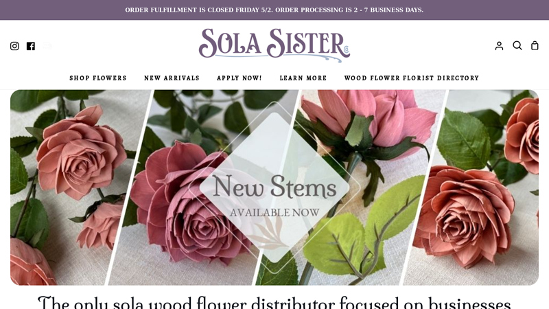 Sola Sister Co.