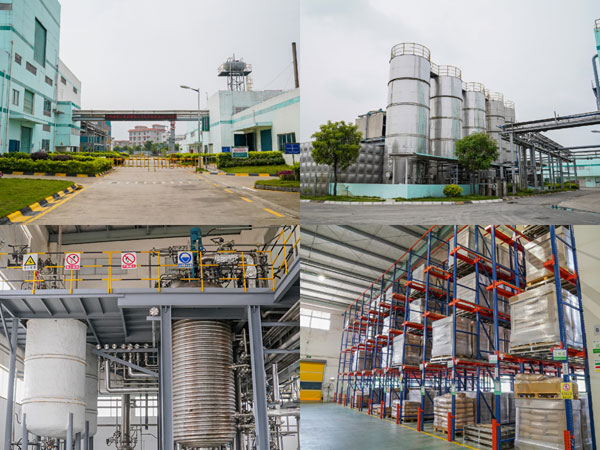 Sorbitan Tristearate industry insight