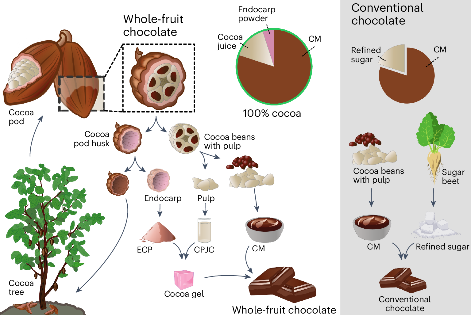 Source Cocoa Sustainably